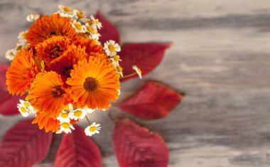 Parlak sonbahar sarı krizantem çiçekler i ve beyaz papatyalar içinde 