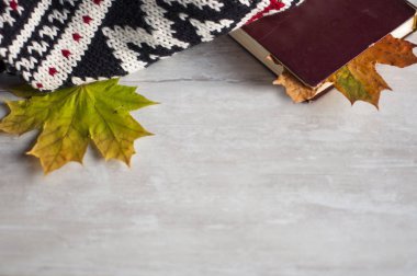 Kuru yaprak yer imi ile eski yıpranmış karanlık kitap beyaz yatıyor  