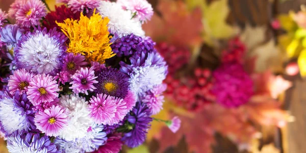 Lumineux automne coloré violet et jaune fleurs d'asters, chry — Photo