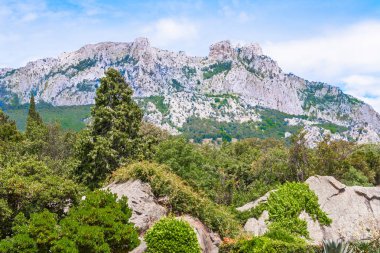 Güzel manzara AI Petri tarafından çok sayıda turistin ziyaret Crimea'da ünlü dağ manzarasına sahip. İğne yapraklı orman ve bitki ağaçları. Mavi gökyüzü ve bulutlar