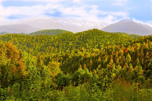 Belleza Las Montañas Del Cáucaso Norte Sol Tarde Las Montañas — Foto de Stock