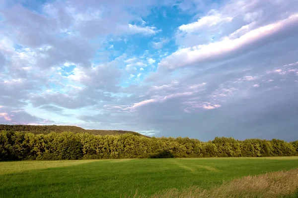 Por Encima Del Campo Con Exuberante Hierba Verde Verano Primavera — Foto de Stock