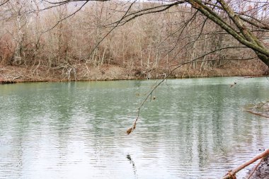 Erken ilkbaharda nehrin peyzaj