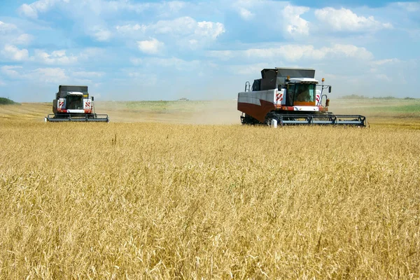 Dos Cosechadoras Campo Con Cultivos Grano — Foto de Stock