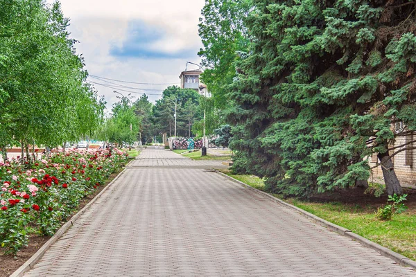 克拉斯诺达尔地区Abinsk市的Komsomolsky Prospekt及其步行区是最美丽的公民步行和娱乐场所之一 — 图库照片