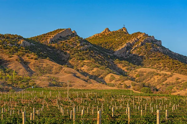 Paisaje Las Montañas Crimea Con Viñedos Creciendo Ellos — Foto de Stock