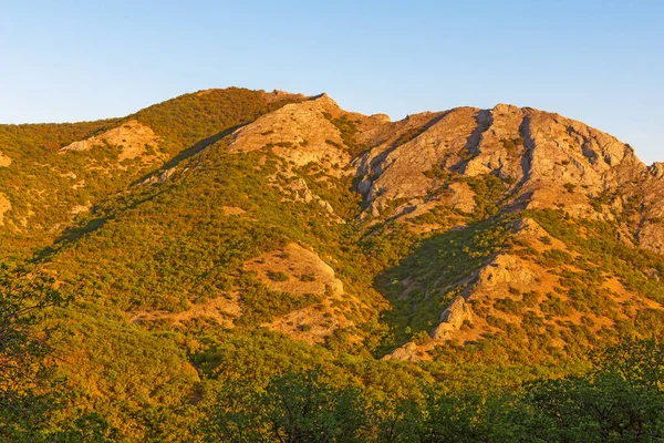 Paisaje Las Montañas Crimea Día Soleado Brillante Cubierto Bosque Arbustos — Foto de Stock