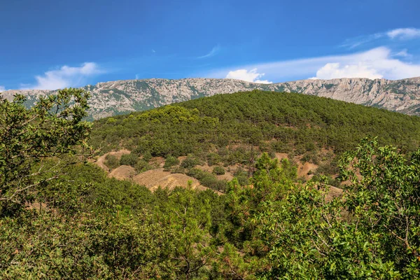 Combinación Rocas Desnudas Bosques Arbustos Crea Paisaje Único Las Montañas — Foto de Stock