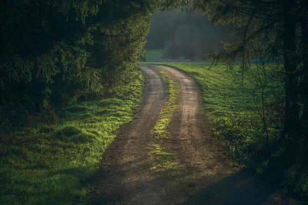 Prado Verão Campo Grama Verde Com Raios Luz Solar Quente — Fotografia de Stock