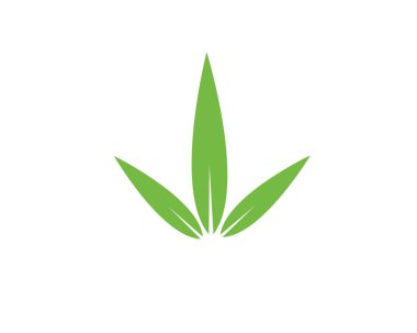 Logo simge vektör için yeşil yaprak bambu
