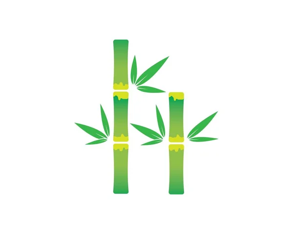Bambus mit grünem Blatt für Ihren Logo-Symbol-Vektor — Stockvektor