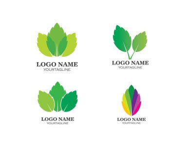 papermint yaprağı illüstrasyon vecto