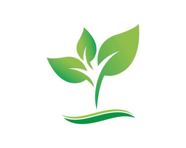 Yeşil yaprak ekoloji doğa eleman vektör logolar