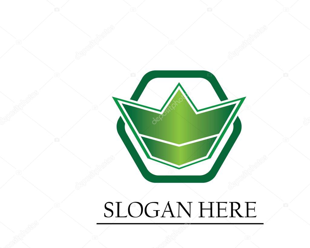 Wings logo icon template for bussines