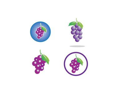 Gıda illüstrasyon için yaprak simgesi ile şarap üzüm Demet