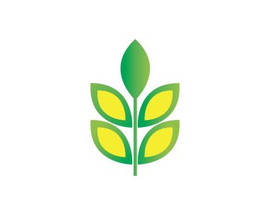 pirinç organik vektör simgesi şablonu 