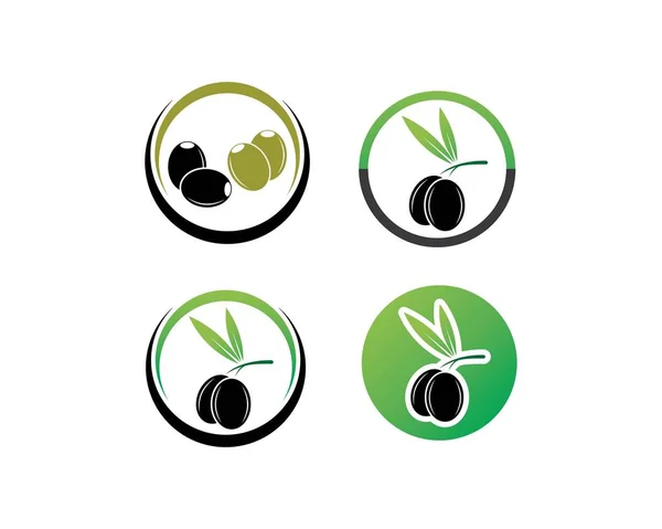 Vettore modello logo oliva — Vettoriale Stock