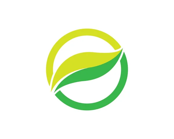 生态树叶徽标模板插图 — 图库矢量图片