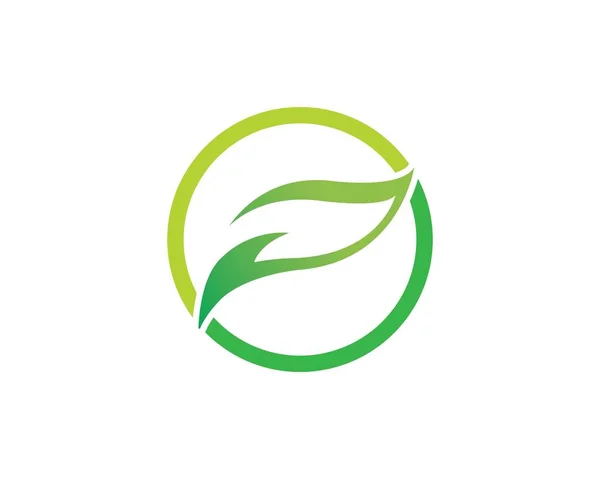 Eko drzewo liść logo szablon ilustracja — Wektor stockowy