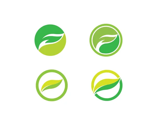 Eco albero foglia logo modello illustrazione — Vettoriale Stock