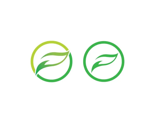 Eco albero foglia logo modello illustrazione — Vettoriale Stock
