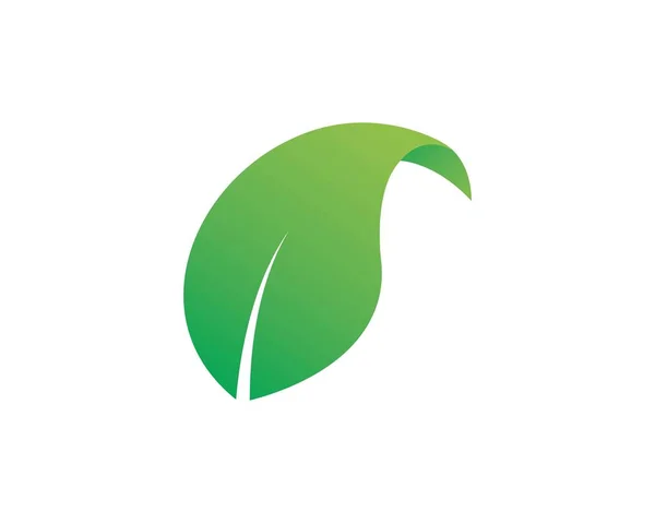 Logos de l'écologie des feuilles vertes élément de nature vecteur — Image vectorielle