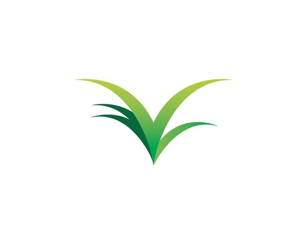 Fű ökológia ikon illusztráció — Stock Vector