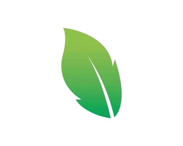 Conception de logo vecteur feuille d'arbre, éco — Image vectorielle