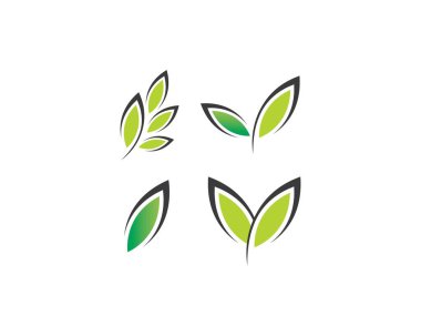 Ağaç yaprak vektör logo tasarımı