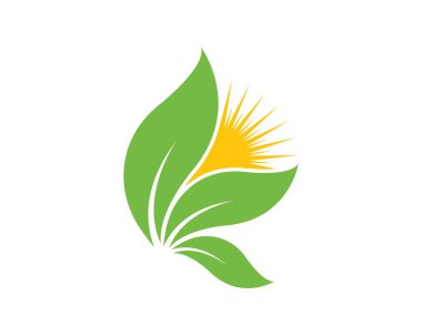 Yeşil yaprak ekoloji doğa eleman vektör logolar