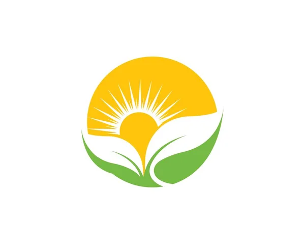 Logos de hoja verde ecología naturaleza elemento vector — Vector de stock