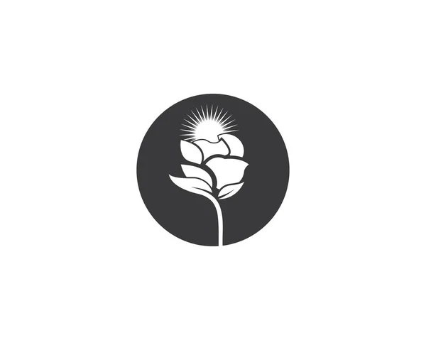 玫瑰花标志模板 — 图库矢量图片