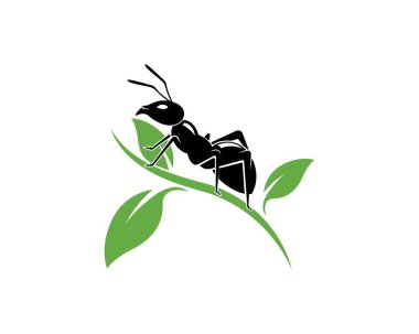 Ant Logo şablon vektör illüstrasyon 