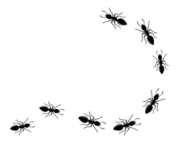 Karınca logo simgesi vektör illüstrasyon tasarımı — Stok Vektör