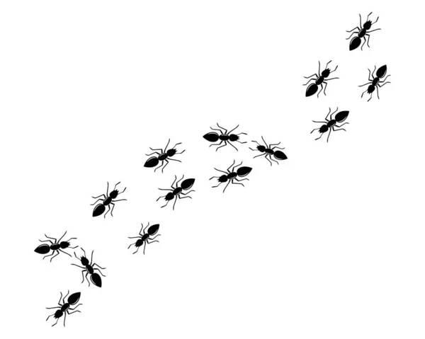 Іконка логотипу мурахи Векторний дизайн ілюстрації — стоковий вектор