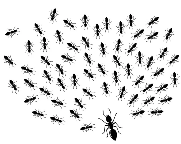 Ant logo icono vector ilustración diseño — Vector de stock