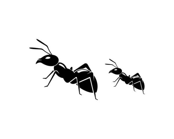 Ant Logo plantilla vector ilustración — Archivo Imágenes Vectoriales
