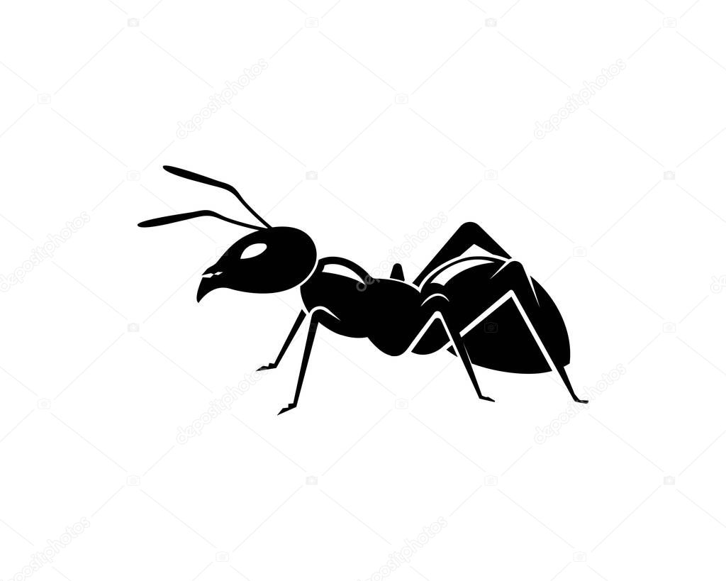 Ant Logo template vector illustration 