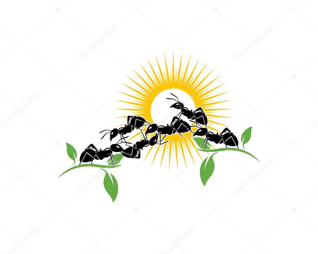 Ant Logo template vector illustration design