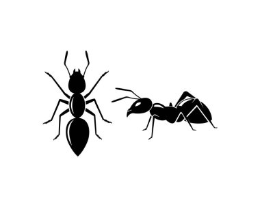 Ant Logo şablon vektör illüstrasyon 