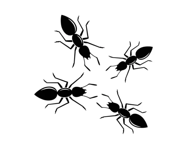 Ant logo icono vector ilustración diseño — Archivo Imágenes Vectoriales