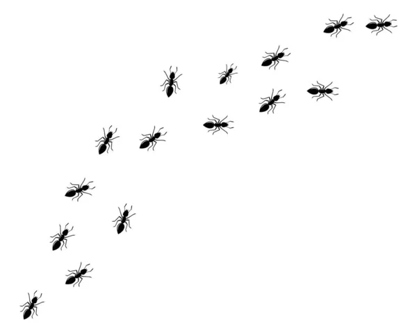 Ikona ilustracja logo mrówka projekt wektor — Wektor stockowy