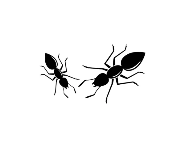 Ant logo icon vector illustration design — Stock Vector