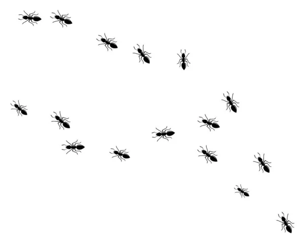 Disegno illustrazione vettoriale icona logo formica — Vettoriale Stock