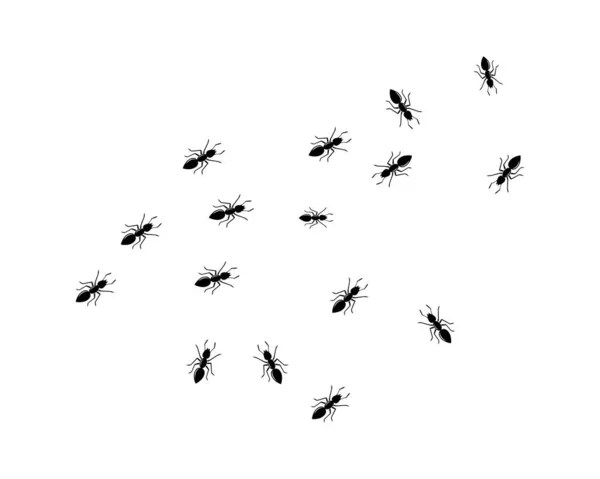 Ant logo icon vector illustration design — Stock Vector