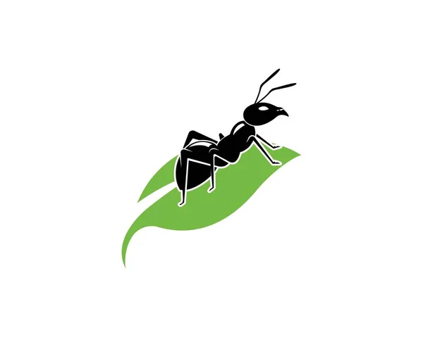 Illustration vectorielle du modèle Ant Logo — Image vectorielle