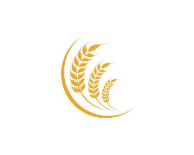Tarım Buğdayı Logo Şablonu vektör simgesi 