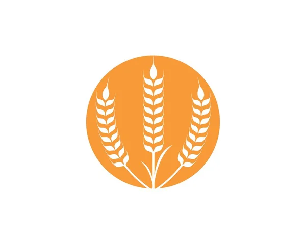 Agricultura trigo logotipo modelo vetor ícone — Vetor de Stock