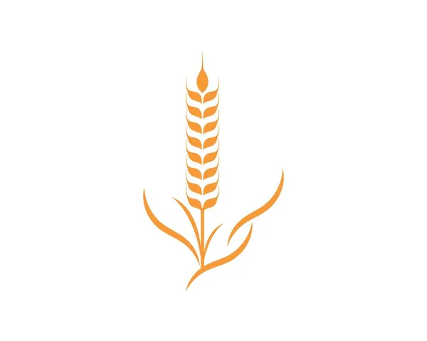 Modèle de logo de blé agricole icône vectorielle — Image vectorielle