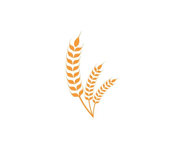 Modèle de logo de blé agricole icône vectorielle — Image vectorielle